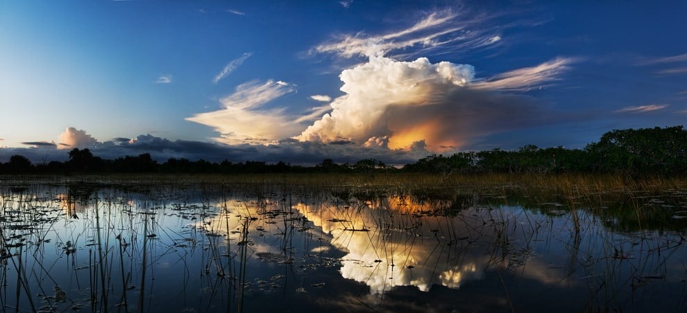 A visit to the sprawling Everglades in Florida is one of the best things to do in America.