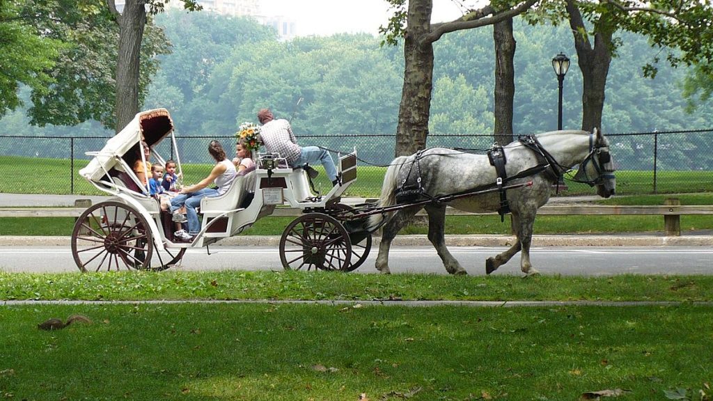 Ride in a horse-drawn carriage through Central Park – for the romantics.