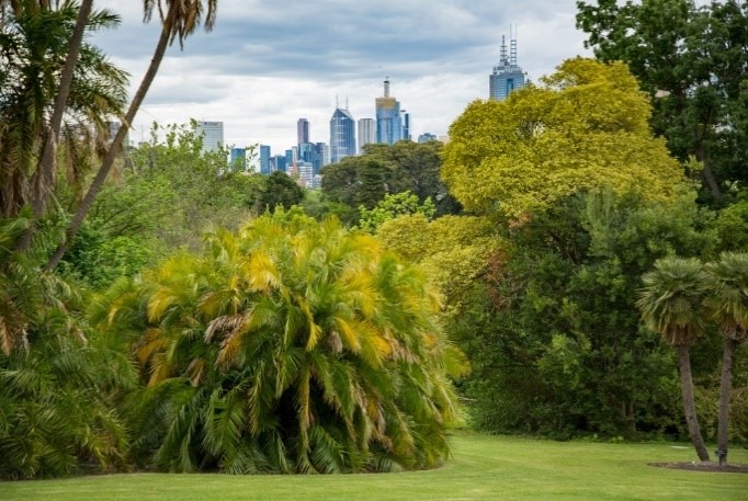 Number nine on our Melbourne bucketlist is taking a stroll through the Royal Botanic Gardens.