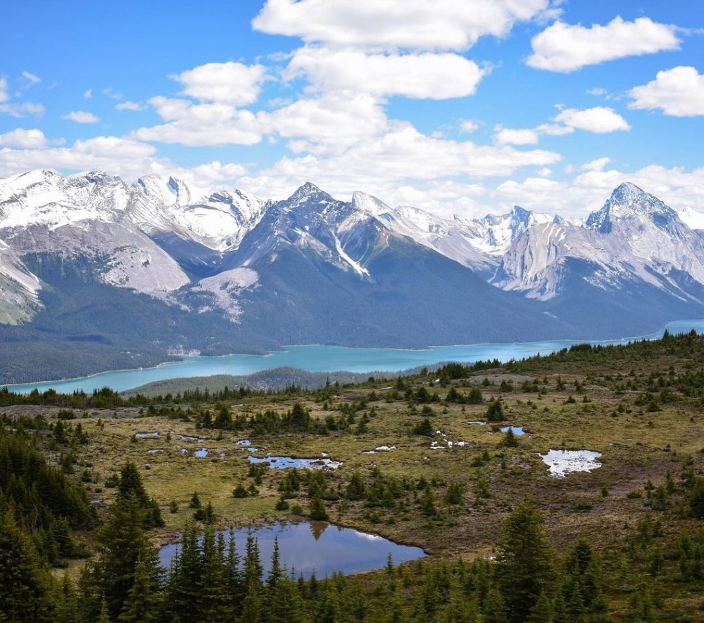 Bald Hills is one of the best hikes in Jasper National Park.