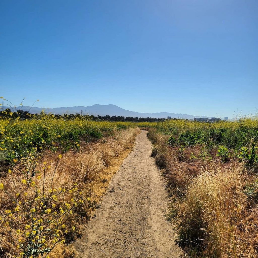 The Quail Hill Loop is perfect for walkers of all abilities.