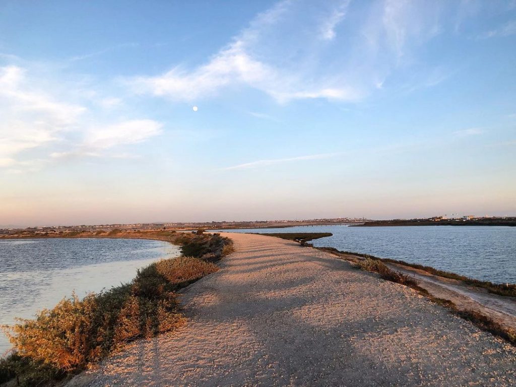 Bolsa Chica Ecological Reserve is a family friendly hike.