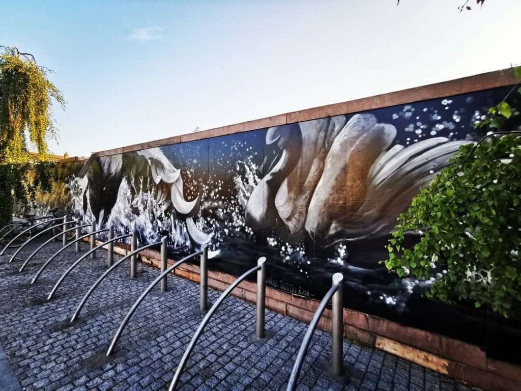Dublin street art and graffiti is amazing.
