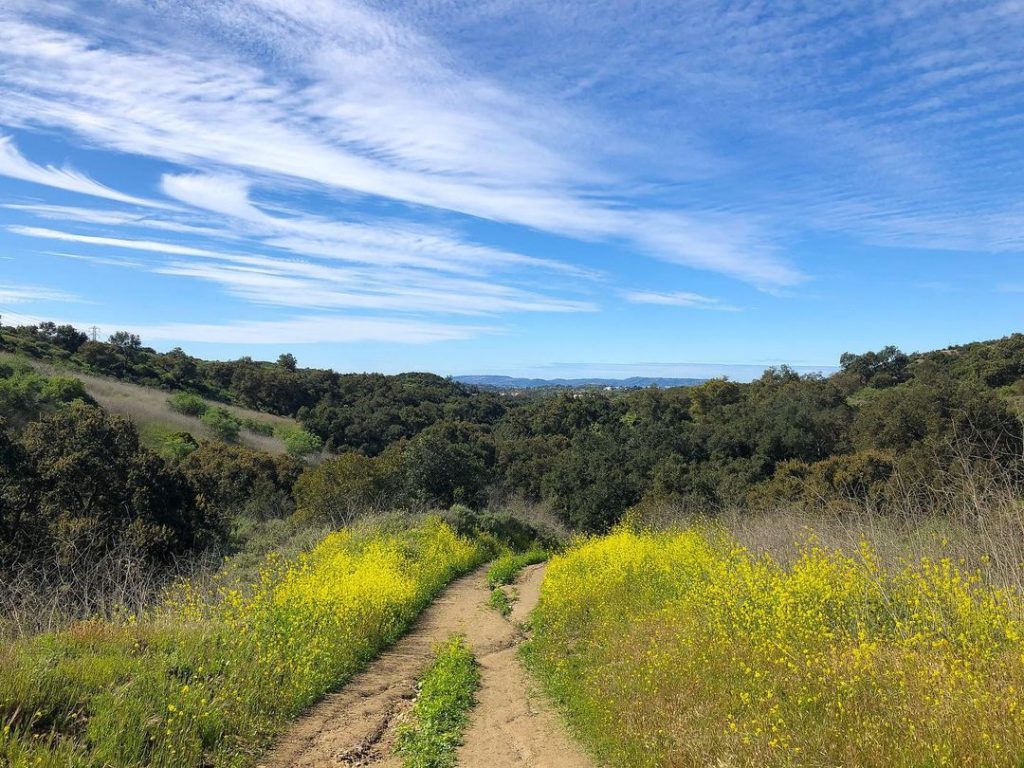 Whiting Ranch Hiking is home to challenging treks.