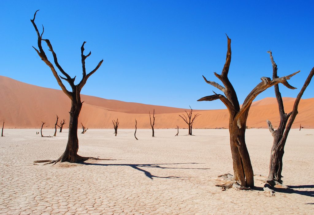 Africa's Namib Desert is one of the most amazing deserts in the world.