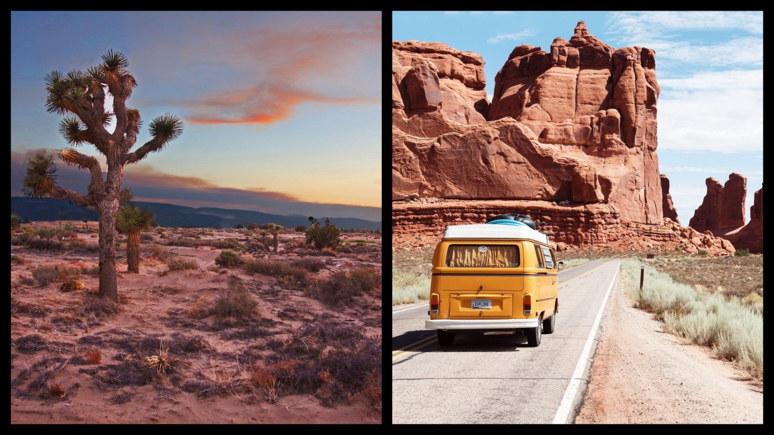 The 3 deserts of California FACTS, locations, things to do, and MORE