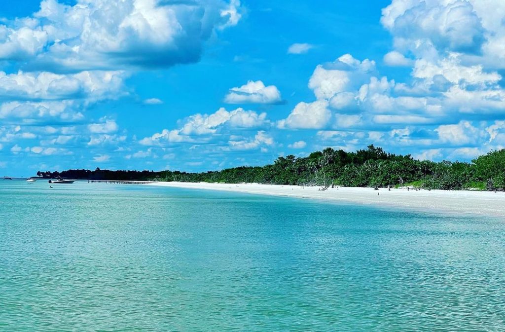 Keewaydin Island is a dog-friendly beach.