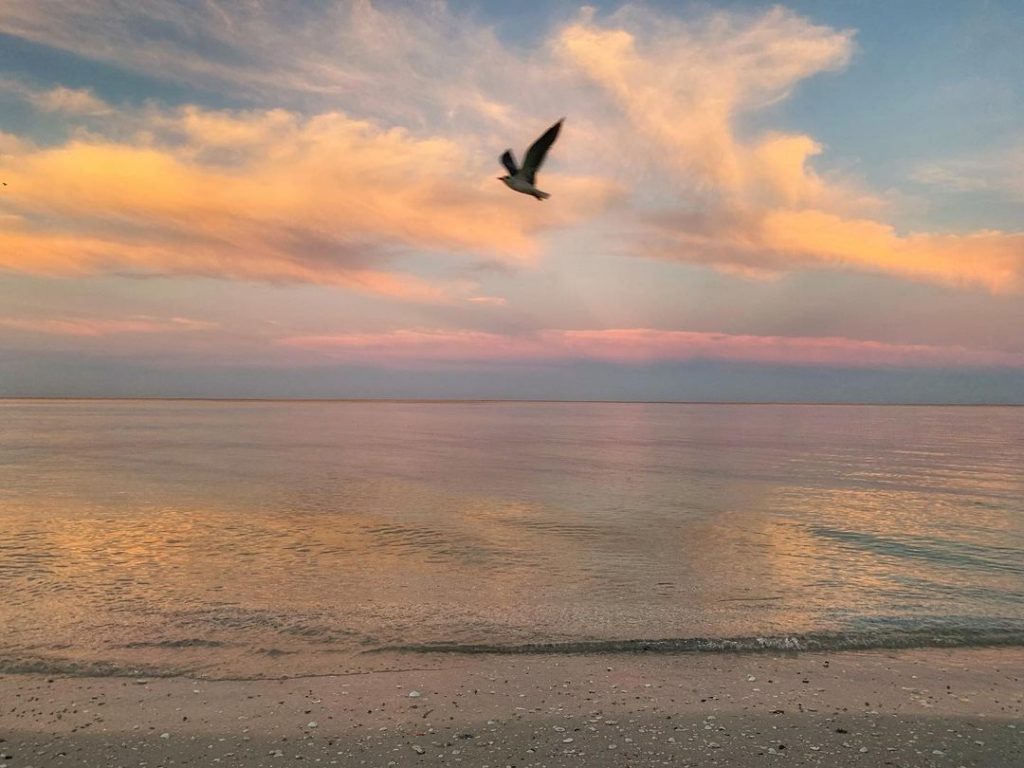 Vanderbilt Beach is one of the best beaches in Naples, Florida.