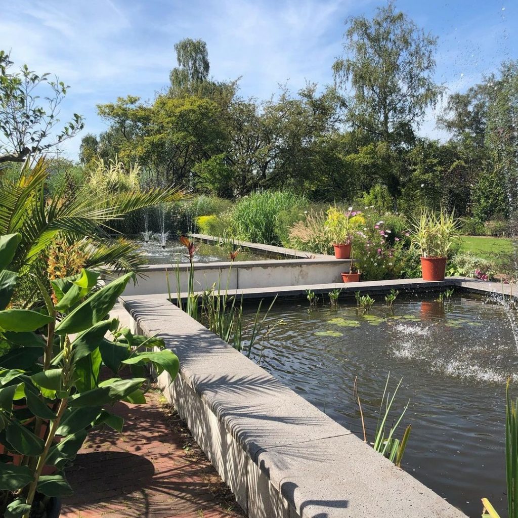 The Botanical Gardens at Vrije University are one of the best free museums in Amsterdam.