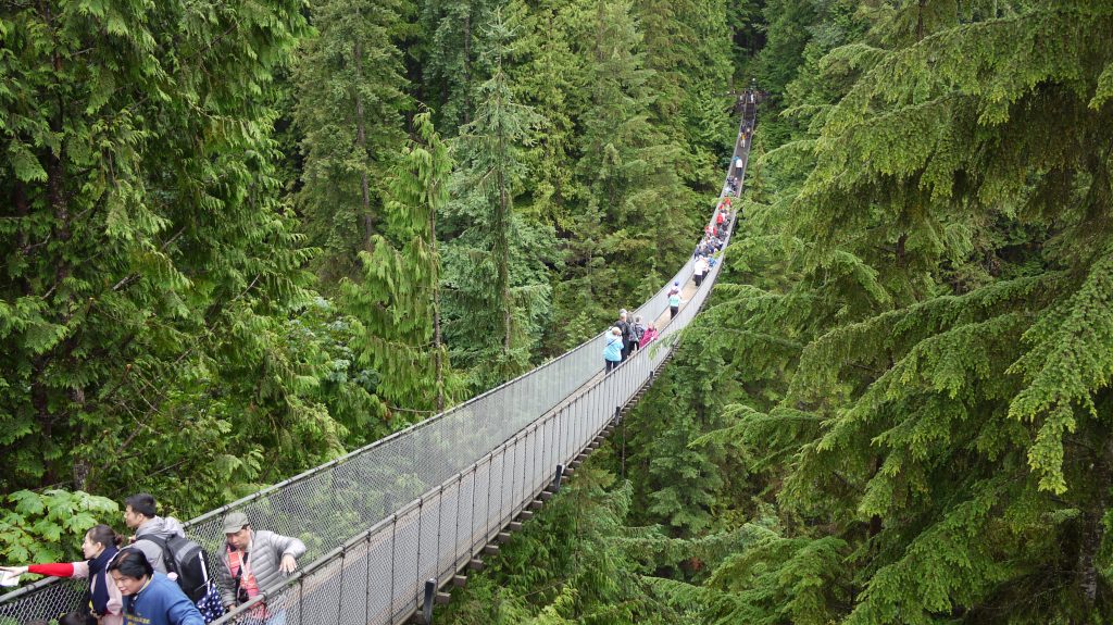 Capilano Suspension Bridge is a must.