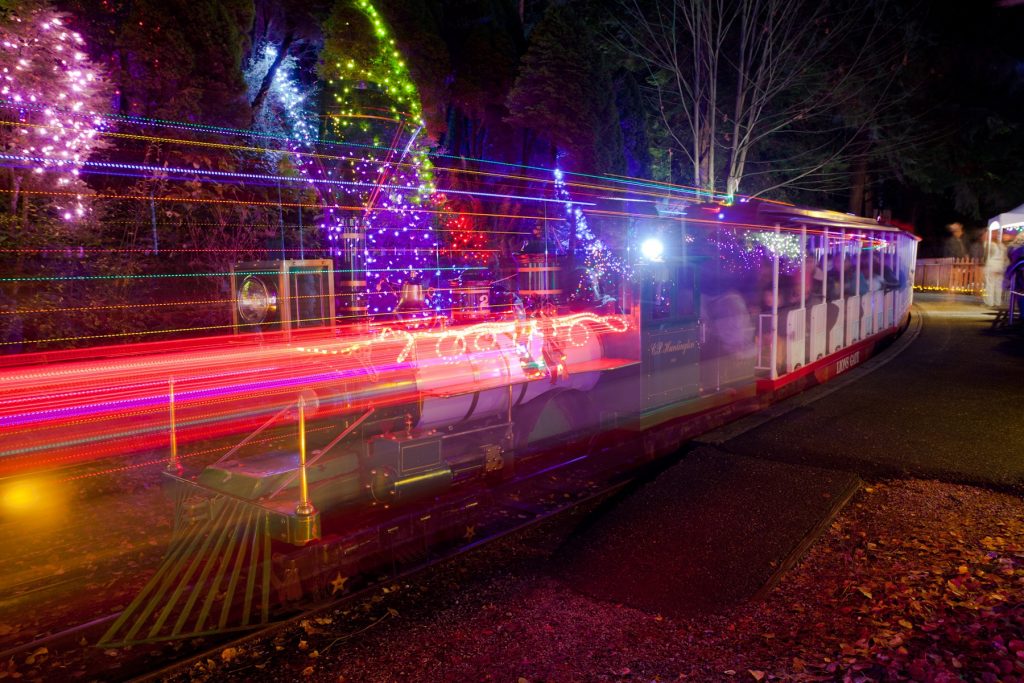 Stanley Park Bright Nights is one of the best things to do in Vancouver in winter.