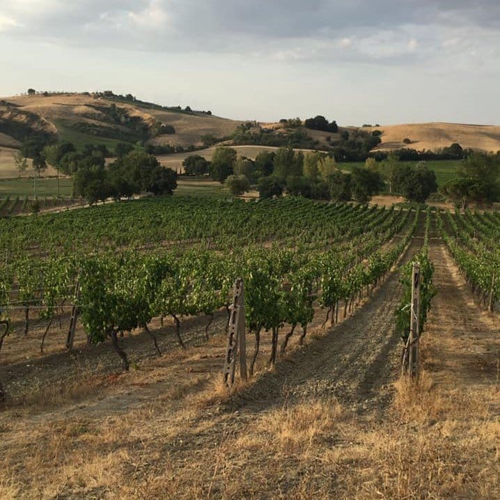 Contucci is a must-visit.