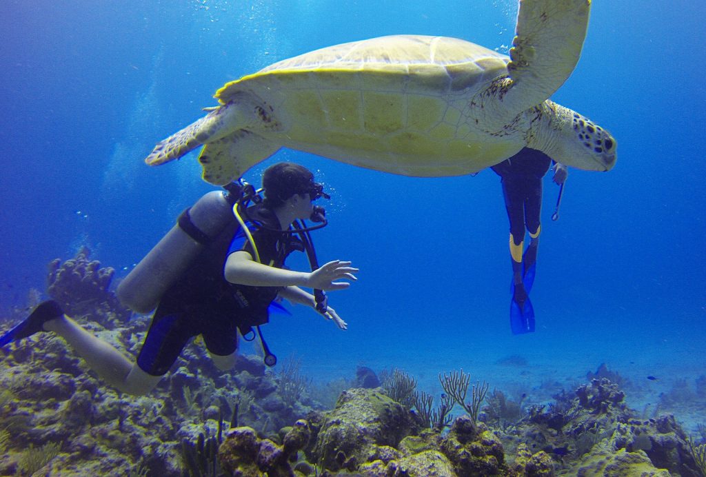 Everyone should go scuba diving at least once.