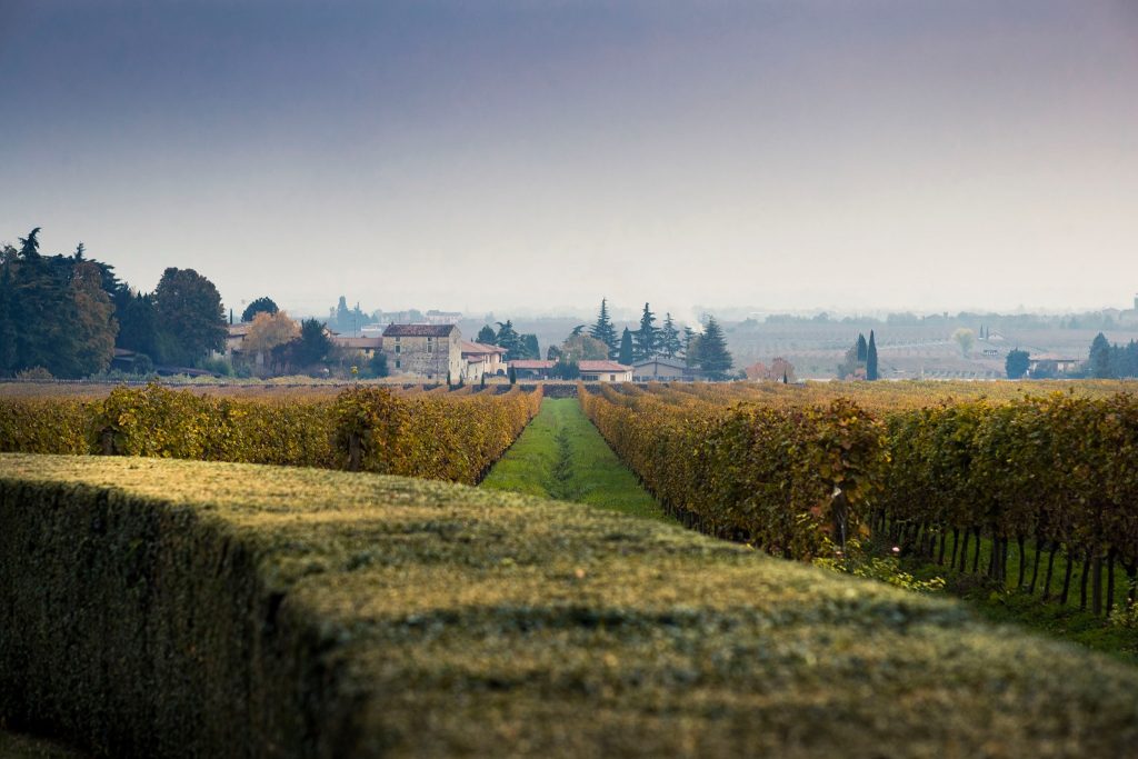 Possessioni di Serego Alighieri is in a beautiful location.