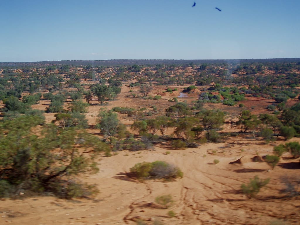Enjoy a trip into the outback at the Great Victoria Desert.