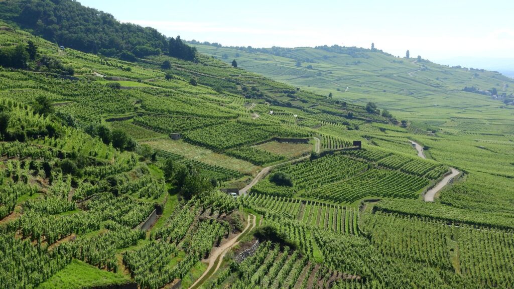 The Alsace region neighbours Germany.