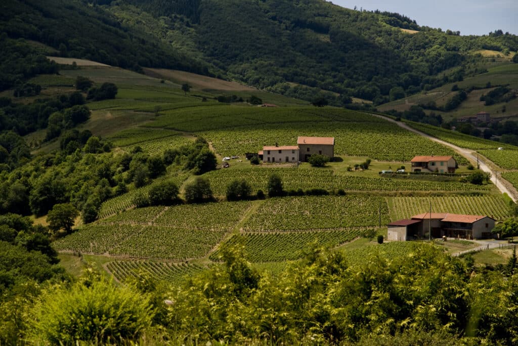 The Beaujolais region is one of the best wine regions in France.