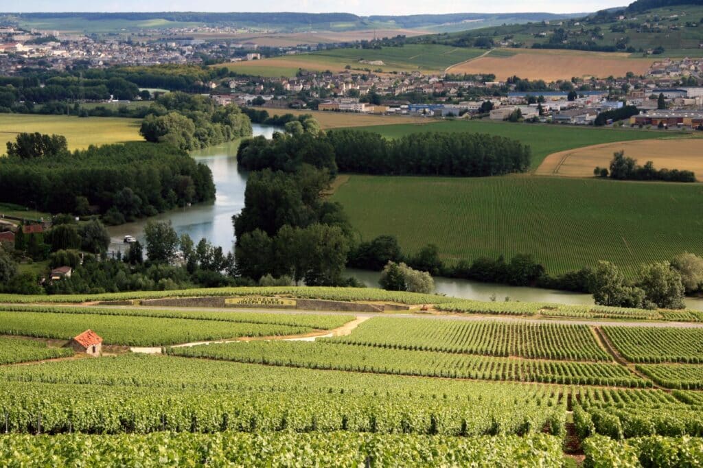 The Champagne Region is one of the best wine regions in France.