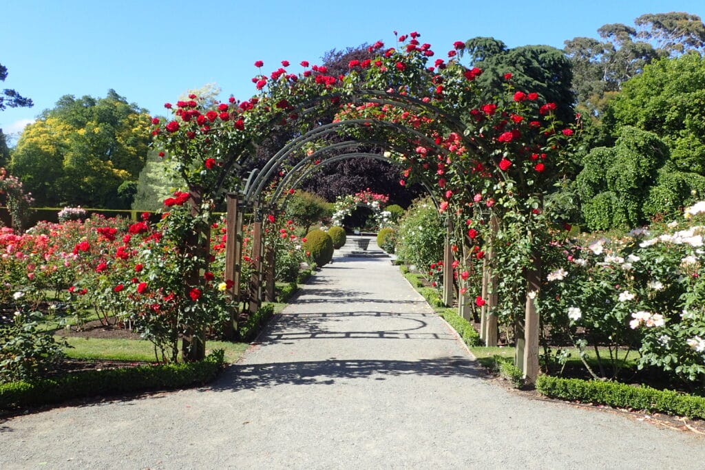 We highly recommend Christchurch Botanic Gardens.