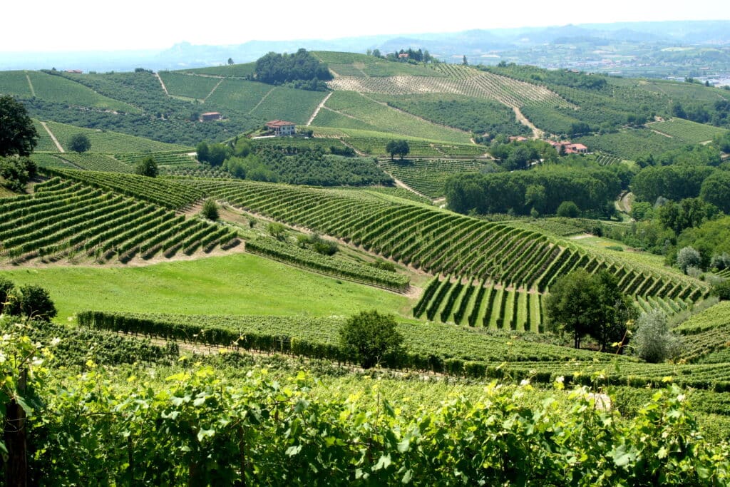 Piedmont Region is our top pick. 