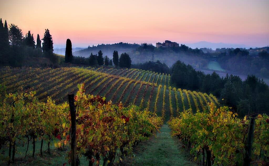 Tuscany is one of the best wine regions of Italy.