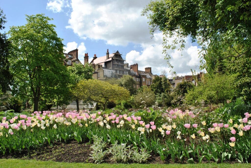 Chelsea Physic Garden is one of the best hidden gems in London.