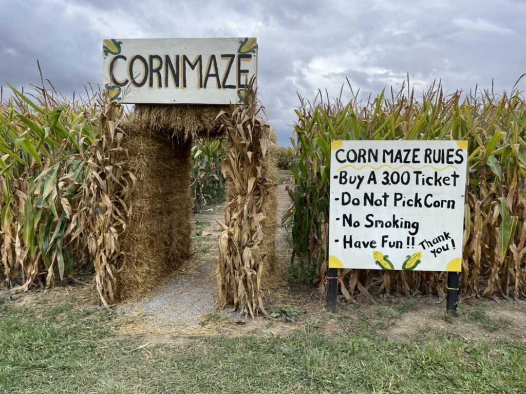 The Corn Maze in Ottowa.