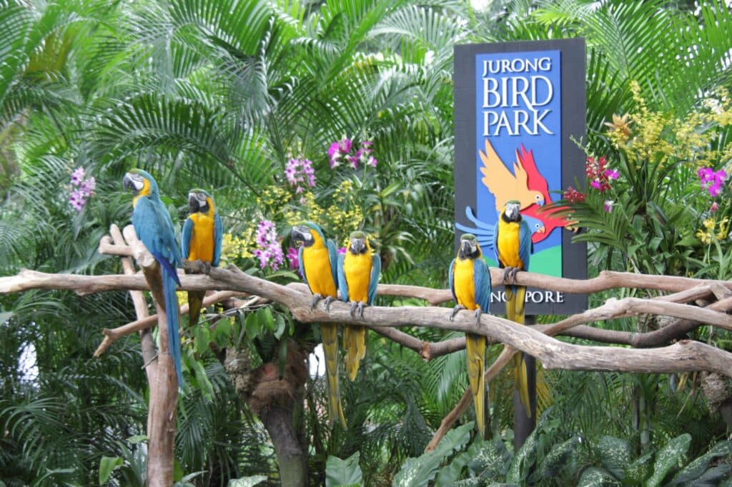 Asia’s biggest bird park is closing down.