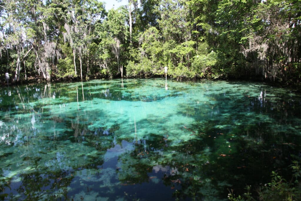 The Three Sisters Springs is one of the most beautiful hidden gems in Florida.