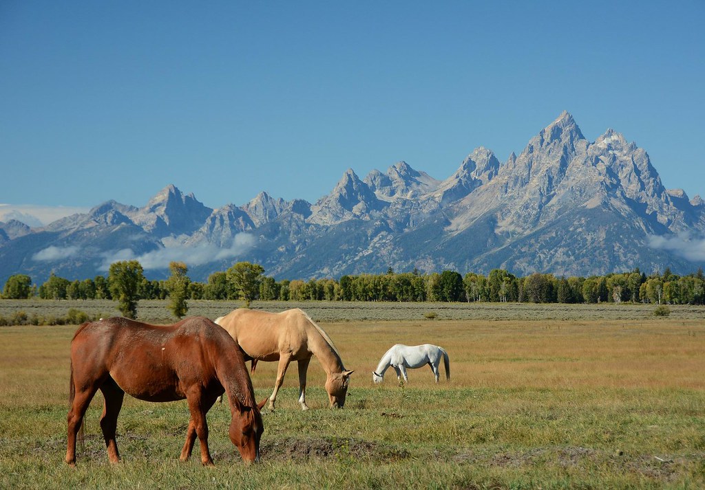 Wyoming is the Equality State.