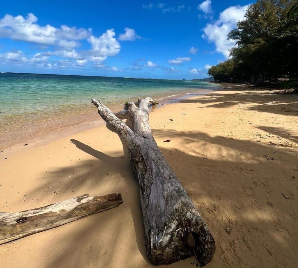 Anini Beach is ideal for snorkelling.