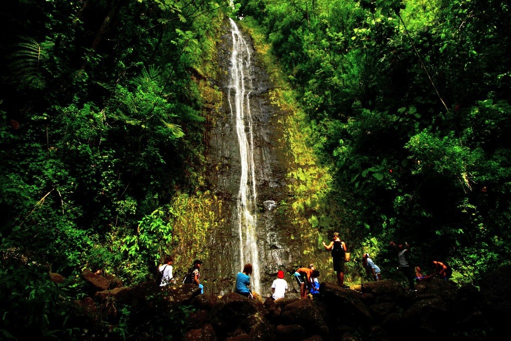 Manoa Falls is one of the best things to do in Waikiki.