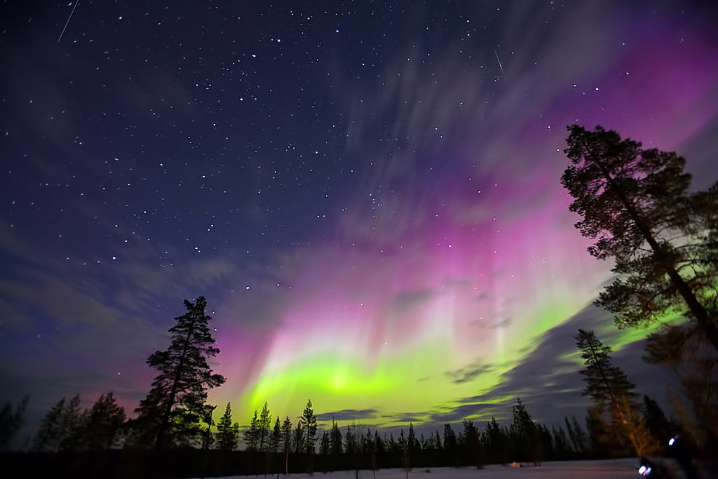 The best time to see the northern lights in Finland is winter.