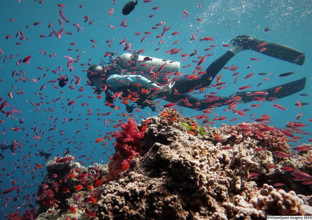 Namena Marine Reserve is a world-famous diving destination.