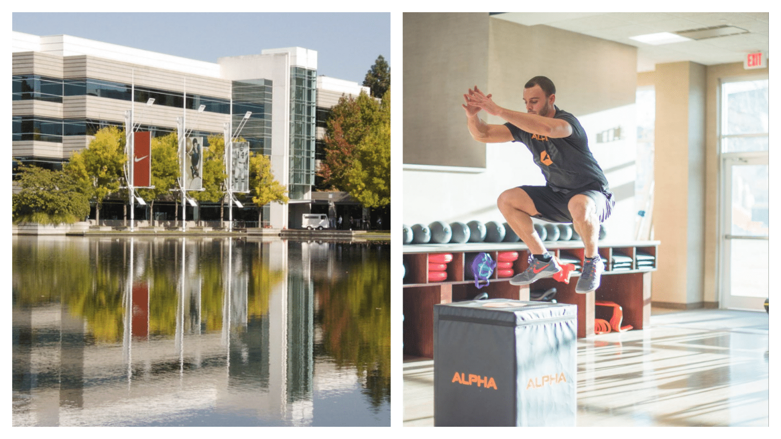 Top 10 biggest GYMS in the WORLD, ranked