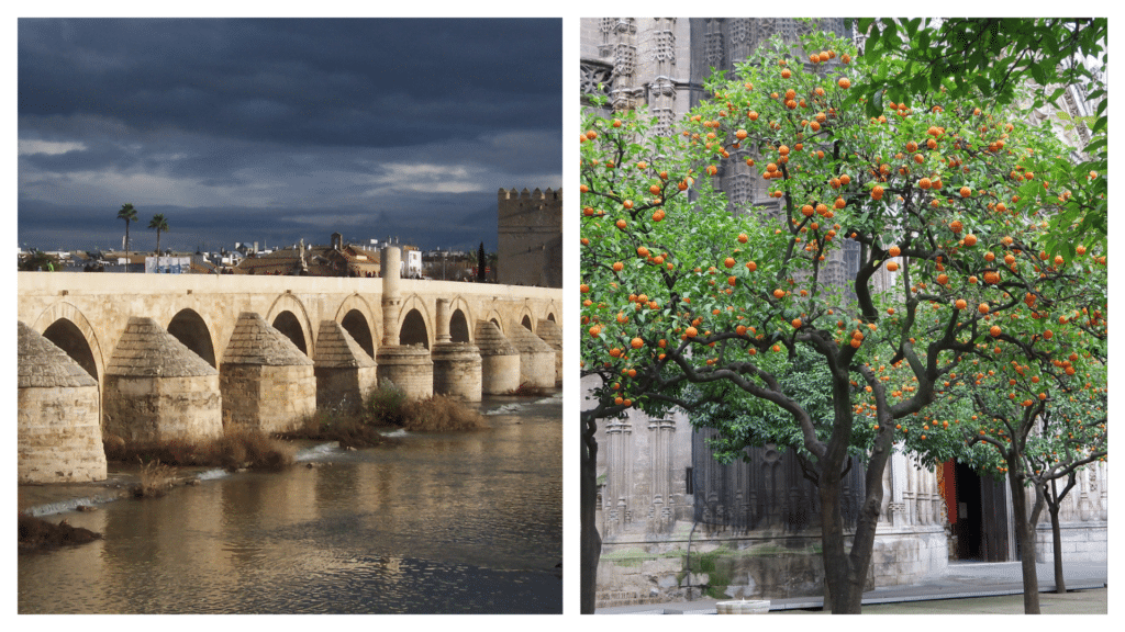 Top 10 best things to do in Córdoba for all travellers in 2023.