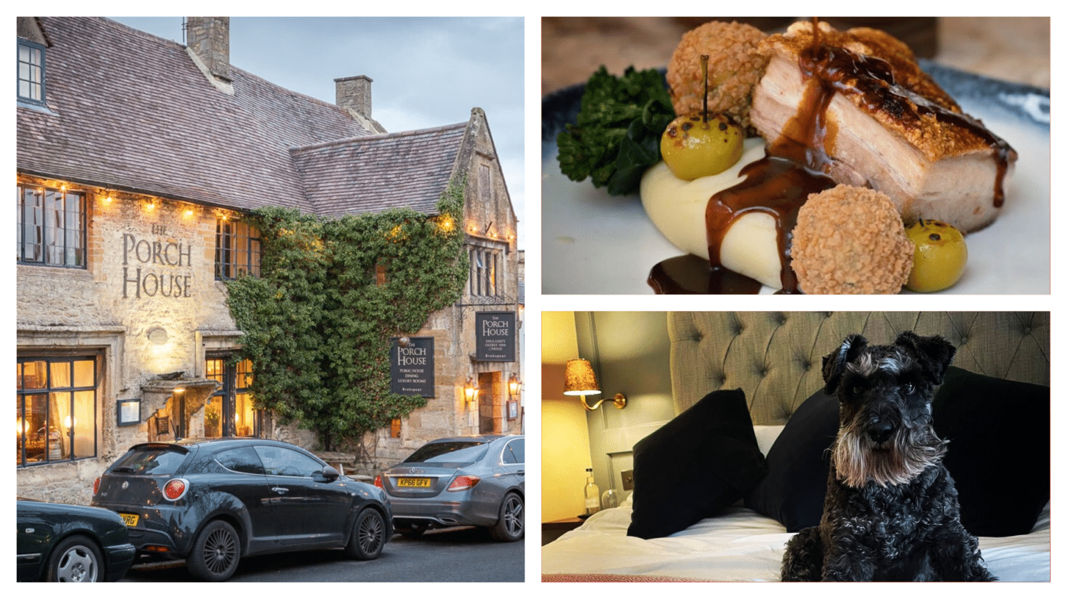 Top 10 DOGFRIENDLY hotels in the Cotswolds