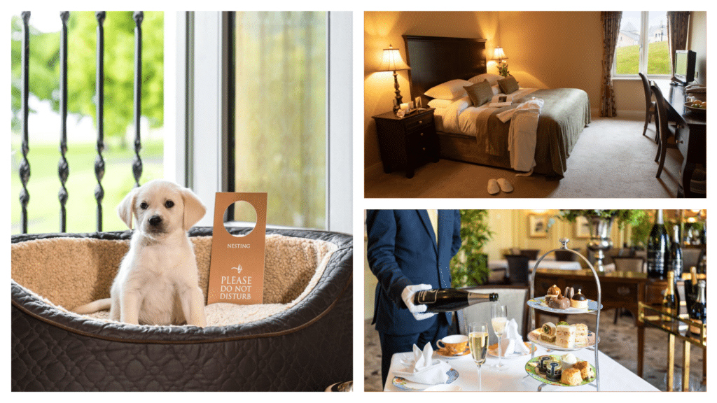 Lough Erne Resort is one of the best pet-friendly hotels in Ireland.