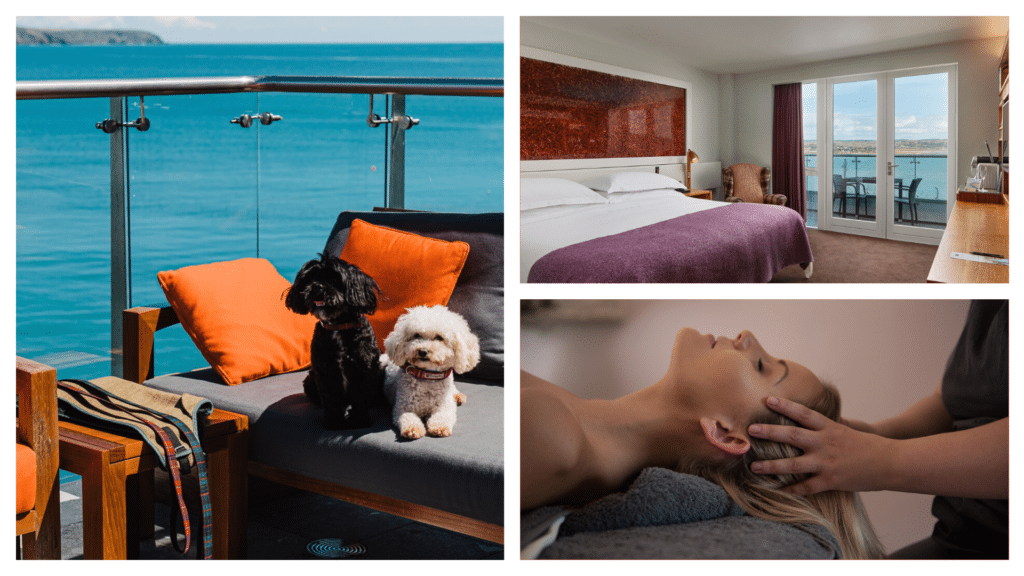 Cliff House Hotel is one of the best pet-friendly hotels in Ireland.