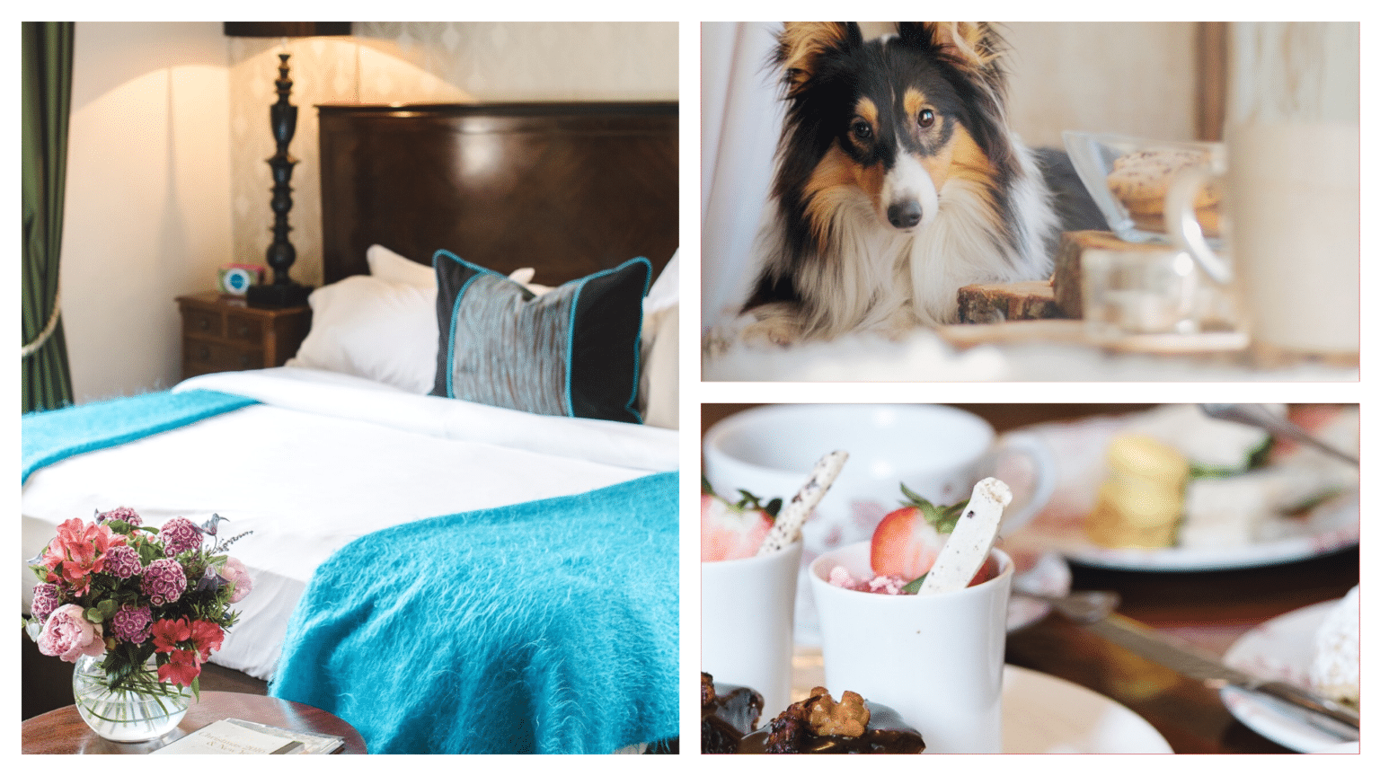 Top 10 DOGFRIENDLY hotels in the Cotswolds