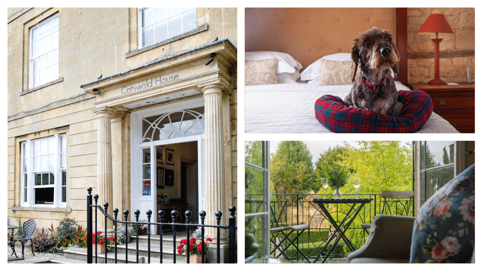 Top 10 DOGFRIENDLY hotels in the Cotswolds