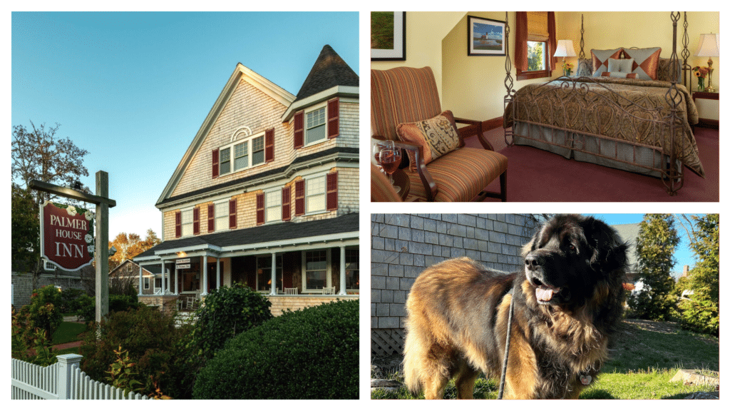 Palmer House Inn is one of the best dog-friendly hotels in Cape Cod.