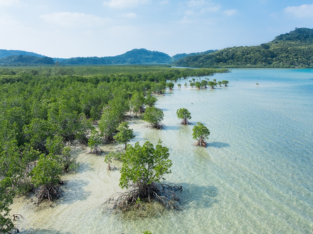 Japan has just discovered 7,000 new islands.