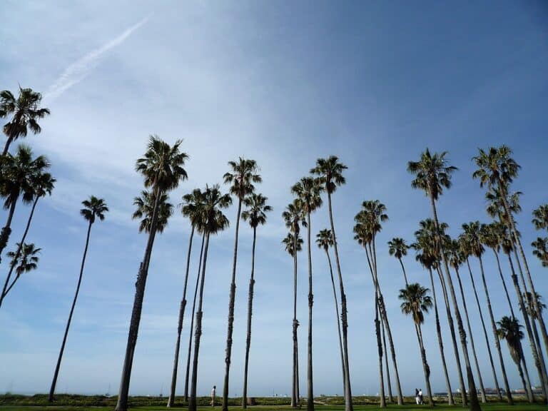 Top 10 SAFEST Cities In California RANKED top-10-safest-cities-in-california-ranked