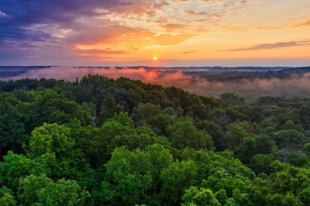 Aerial Photography of Green-leafed Trees. It accompanies one of our tips for backpackers in South America.