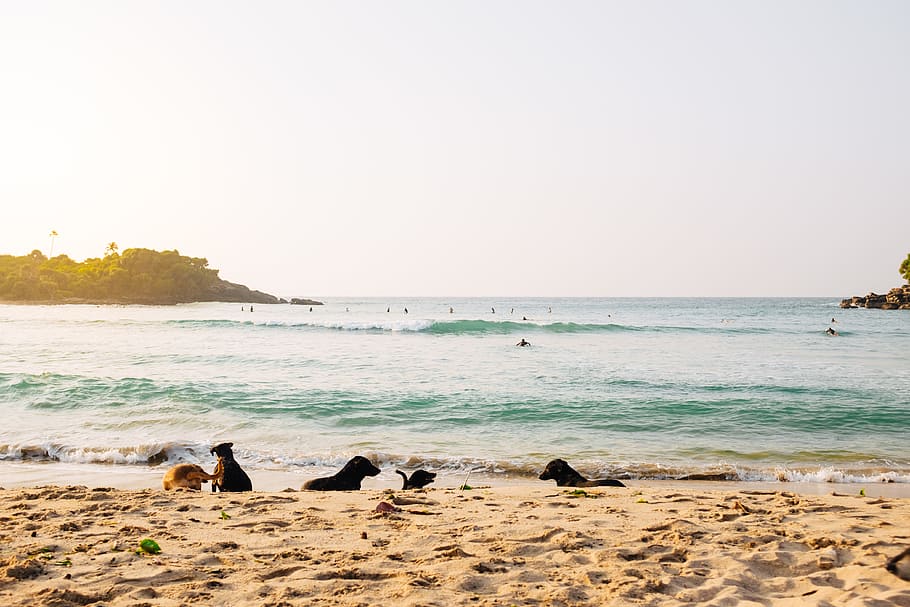 Picture of Hiriketiya Beach.