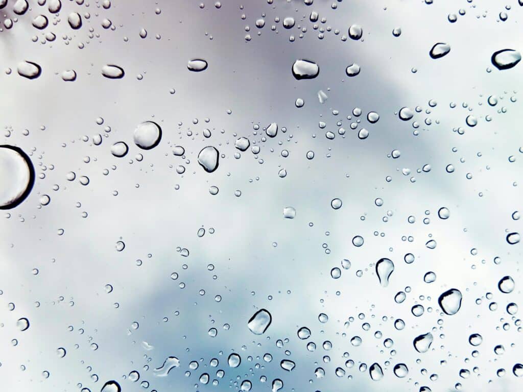 Droplets of rain on a window.